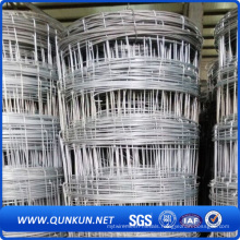 1.5mx2m Hot Dipped Galvanized Cattle Fence for Sale